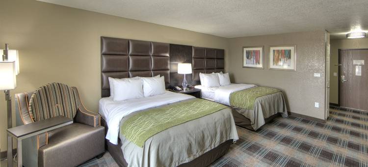 沃斯堡西I-30 NAS JRB的舒适酒店及套房(Comfort Inn & Suites Fort Worth West I-30 Nas JRB)图片