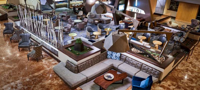 丹佛万丽酒店及会议中心(Renaissance Denver Hotel & Conference Center)图片