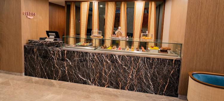 伊斯坦布尔塔克西姆索菲特酒店(Sofitel Istanbul Taksim)图片