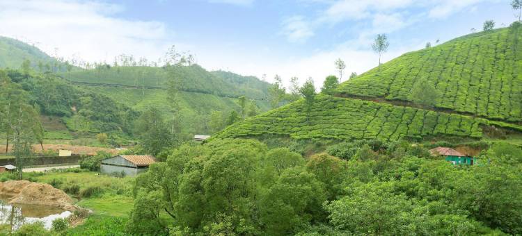 OYO-24816芒纳尔戴斯酒店(OYO 24816 Munnar Days)图片