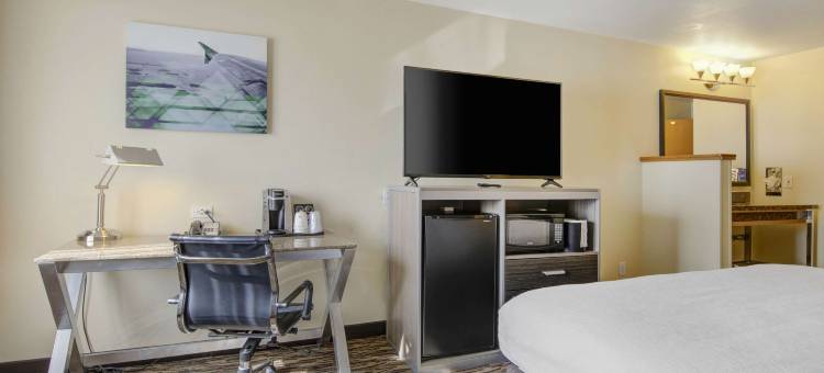 胡椒树机场贝斯特韦斯特优质酒店(Best Western Plus Peppertree Airport Inn)图片