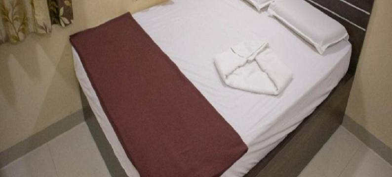 Shri Vasant Lodge图片