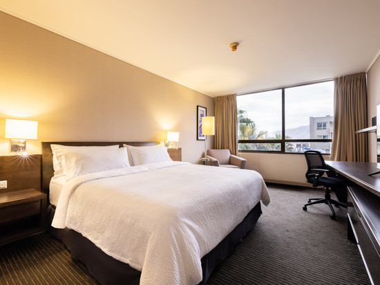 Holiday Inn Express 伊基克