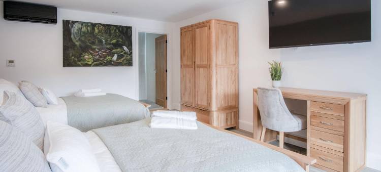 8号套房-沉睡巨人酒店-PEN Y CAE旅馆(Suite 8 - Sleeping Giant Hotel - PEN Y CAE Inn)图片