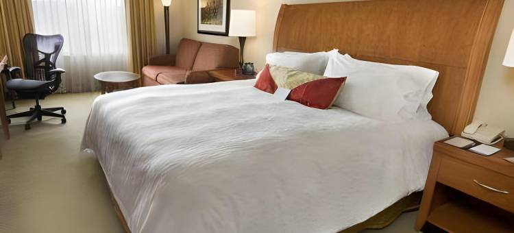 休斯顿加勒里亚区希尔顿花园酒店(Hilton Garden Inn Houston/Galleria Area)图片
