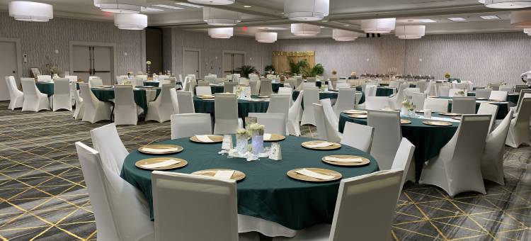 Holiday Inn 巴吞鲁日，南(Holiday Inn Baton Rouge-South)图片