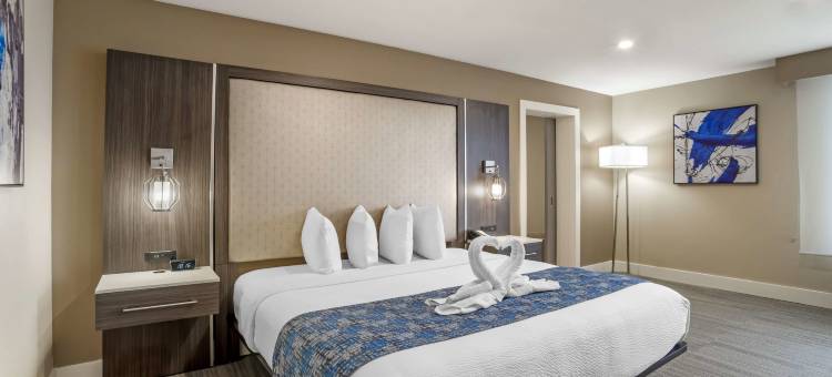 罗珀山路贝斯特韦斯特优质酒店(Best Western Plus Greenville I-385 Inn  Suites)图片