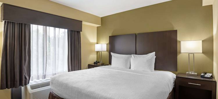 桑堡贝斯特韦斯特优质套房酒店(Best Western Plus Thornburg Inn  Suites)图片