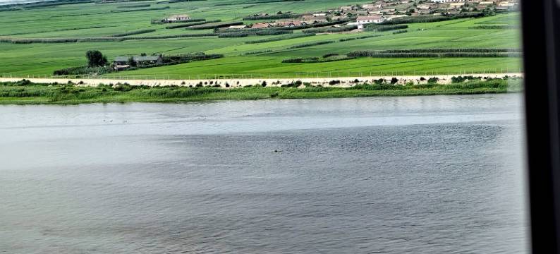 民宿(鸭绿江大街分店)图片