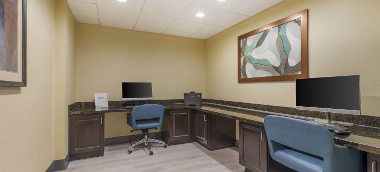 切斯特顿舒适套房酒店(Comfort Inn & Suites Chestertown)图片