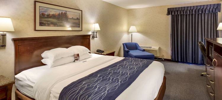 贝灵厄姆舒适酒店(Comfort Inn Bellingham)图片
