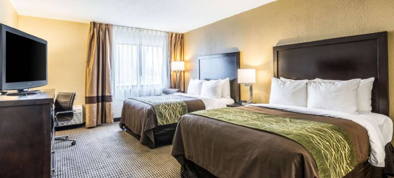 舒适酒店-市中心(Comfort Inn Downtown)图片