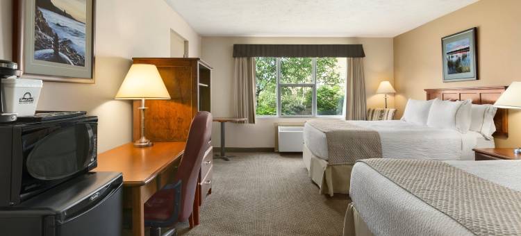 蒙克顿戴斯套房酒店(Days Inn & Suites by Wyndham Moncton)图片