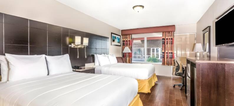 伊克诺旅馆套房酒店(Econo Lodge Inn & Suites)图片