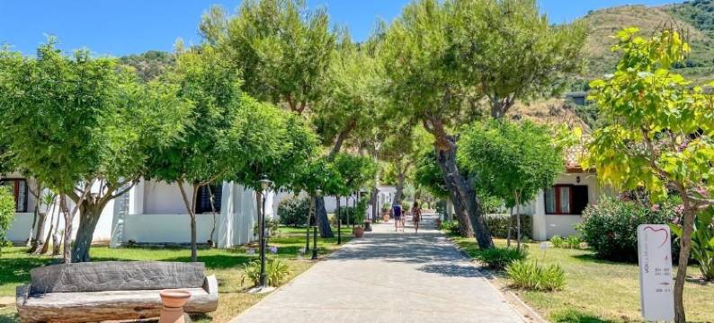 VOI le Muse Essentia图片