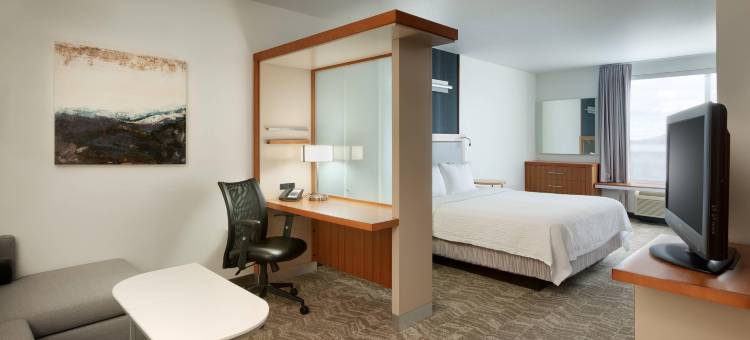 雷克斯堡万豪SpringHill酒店(SpringHill Suites Rexburg)图片