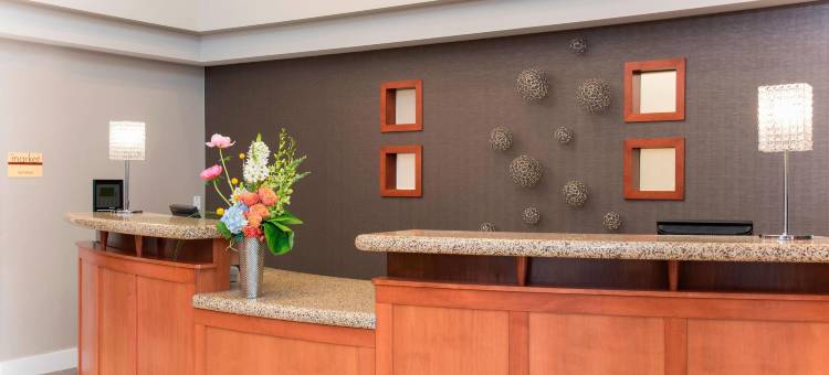 托莱多托莱多Residence Inn 酒店(Residence Inn Toledo Maumee)图片