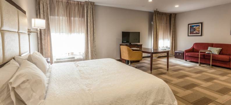 科罗拉多斯普林斯机场欢朋酒店-合作酒店(Hampton Inn Colorado Springs-Airport)图片