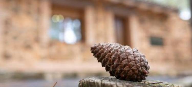 Casa Rural Riópar, Luxury in Nature图片