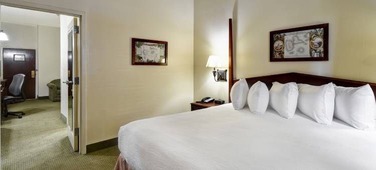 希尔顿安泊酒店-查尔斯顿历史区(Embassy Suites by Hilton Charleston Historic District)图片