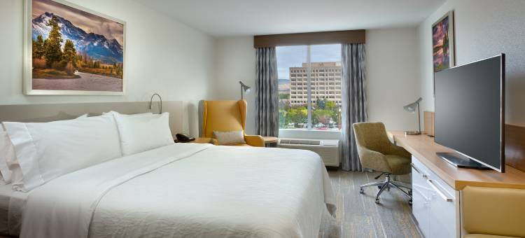 博伊西市中心希尔顿花园酒店(Hilton Garden Inn Boise Downtown)图片