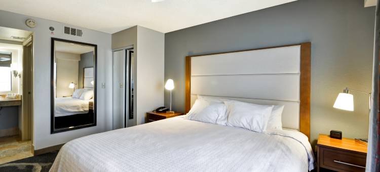 凤凰城比尔特摩Homewood Suites by Hilton(Homewood Suites by Hilton Phoenix - Biltmore)图片