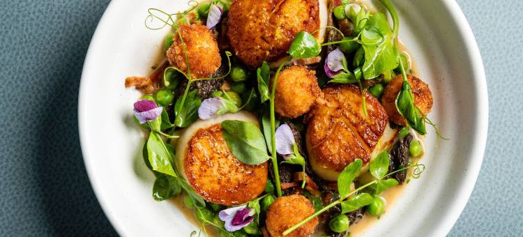 佐拉格芮希尔顿精选酒店(Hotel La Jolla, Curio Collection by Hilton)图片