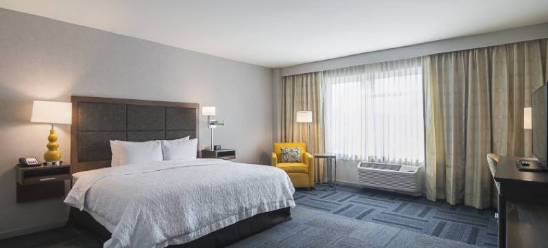 希尔顿欢朋酒店-北芝加哥洛约拉站(Hampton Inn Chicago North/Loyola Station)图片