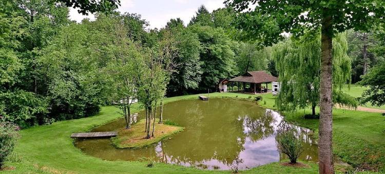 北卡Mama Dee's Hide Away!! 阿什维尔您的家公寓(Mama Dee's Hide Away!!  Your home while in Asheville NC)图片