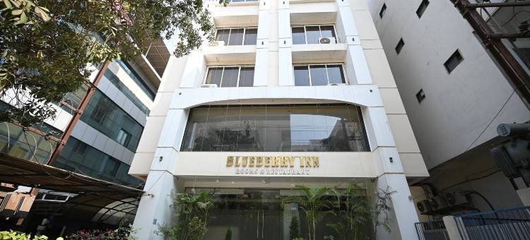蓝莓旅馆(Blueberry Inn)图片