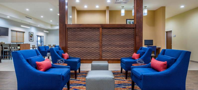 舒适套房酒店(Comfort Suites Bowling Green Southeast)图片