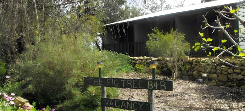 无花果树床和早餐酒店(The Fig Tree B&B)图片