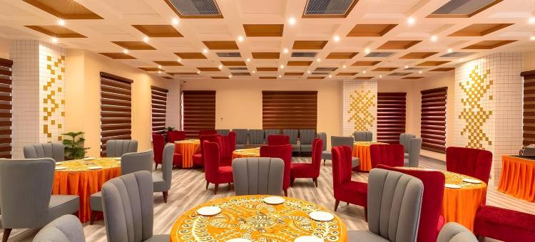 阿姆巴拉克拉克斯酒店(Clarks Inn Ambala)图片