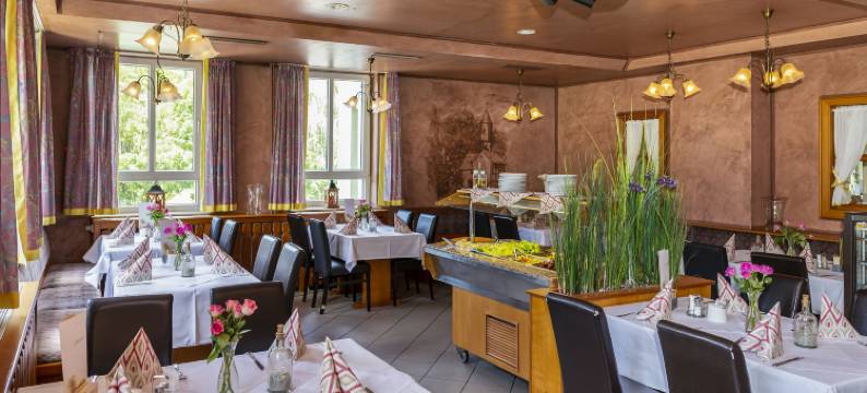 祖姆尼斯特泰乡村酒店(Landhotel Zum Niestetal)图片