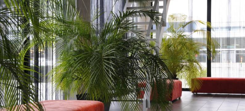 克别尔罗梅尔酒店(Hotel Corbie Lommel)图片