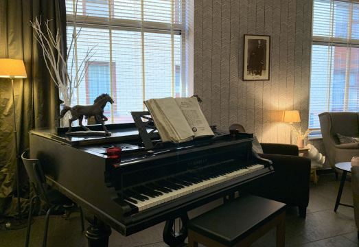 3 Paardekens - City Centre Hotel Hotel Overview