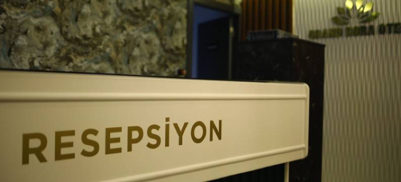 多拉大酒店(GRAND DORA OTEL)图片