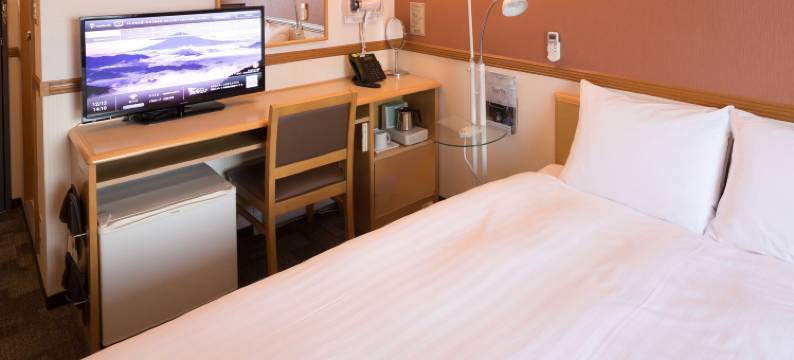 东横前桥站前酒店(Toyoko Inn Maebashi Ekimae)图片