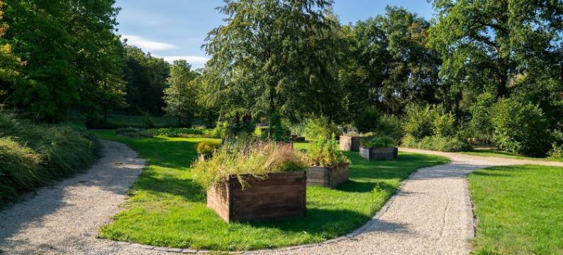 索尔比尔酒店(Les Sorbiers)图片