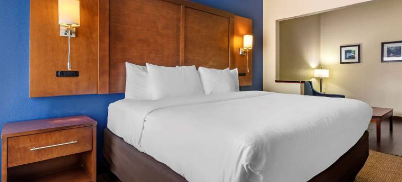 斯泰茨伯勒大学区舒适套房酒店(Comfort Inn & Suites Statesboro - University Area)图片