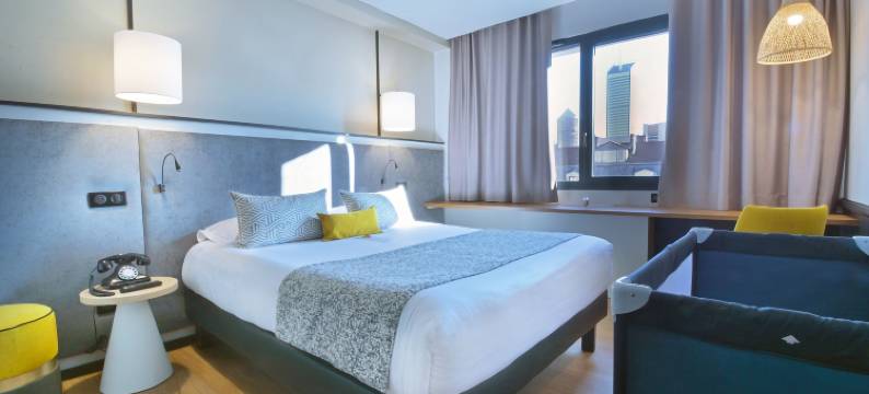 里昂罗斯福酒店(Hôtel le Roosevelt Lyon)图片