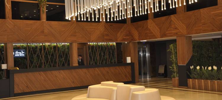 快乐酒店格布泽(Happy Inn Gebze Hotel)图片