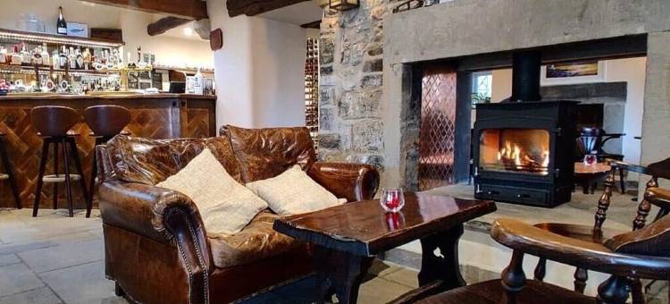 盲公牛(The Blind Bull)图片