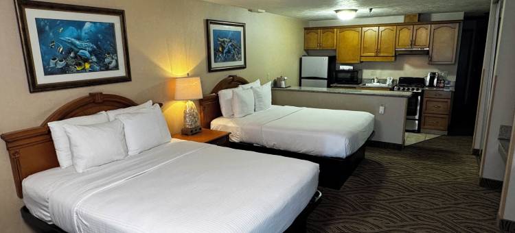 普罗米纳德酒店及套房海滨(Promenade Inn & Suites Oceanfront)图片