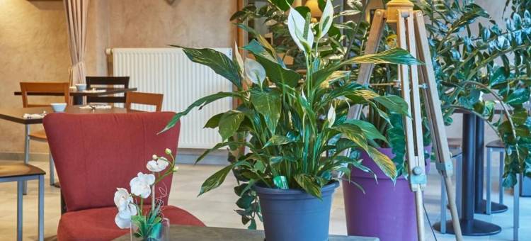 全国酒店(Cit'Hôtel le National)图片