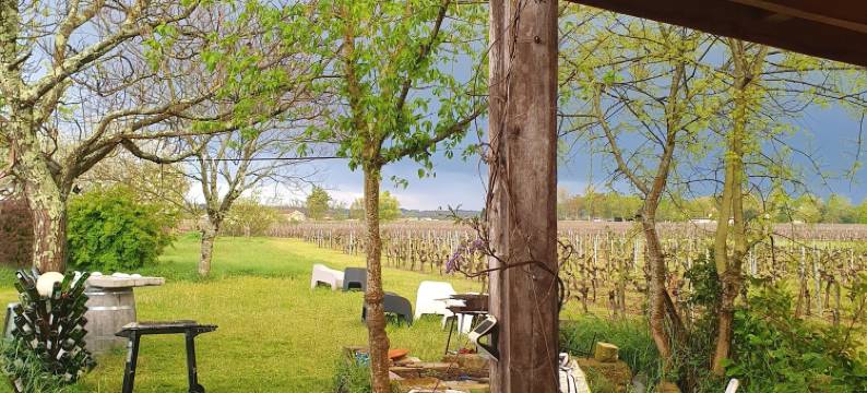 单车树酒店(Au Vélo Dans l'Arbre)图片