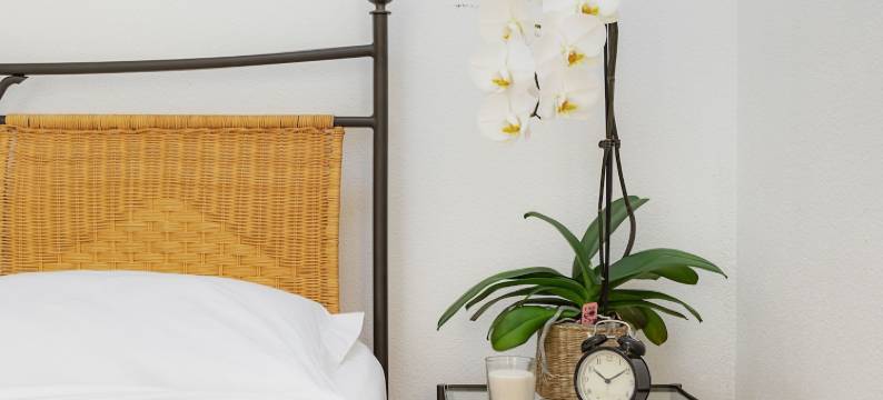 希尔菲德瑞士之星公寓酒店(Swiss Star Zurich Sihlfeld - Self Check-IN)图片