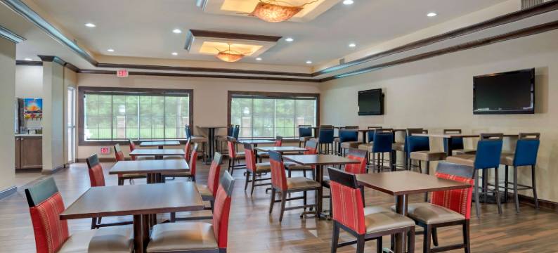 舒适套房酒店(Comfort Suites)图片