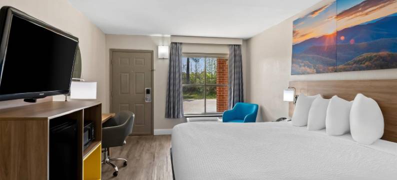 彼得斯堡利堡南温德姆戴斯酒店(Days Inn by Wyndham Petersburg/South Fort Lee)图片