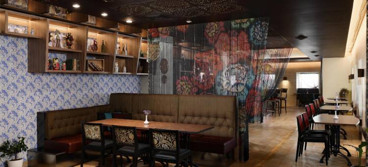 圣彼得堡桑娅丽笙酒店(Radisson Sonya Hotel Saint Petersburg)图片